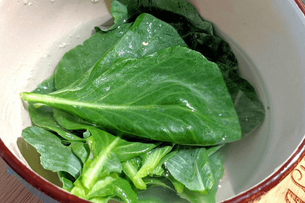 cabbage leaves washed in a dish